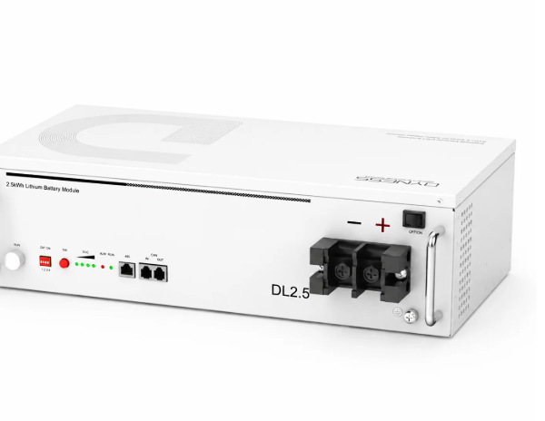 Dyness DL2.5 Lithium Battery