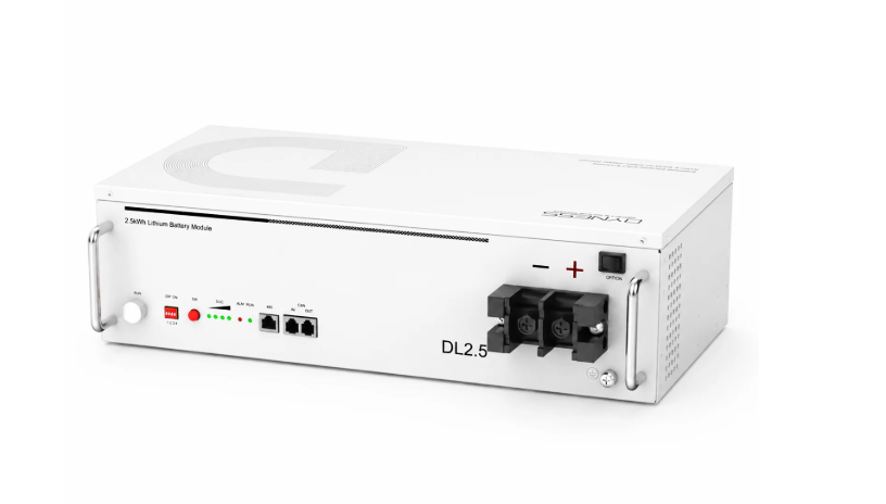 Dyness DL2.5 Lithium Battery